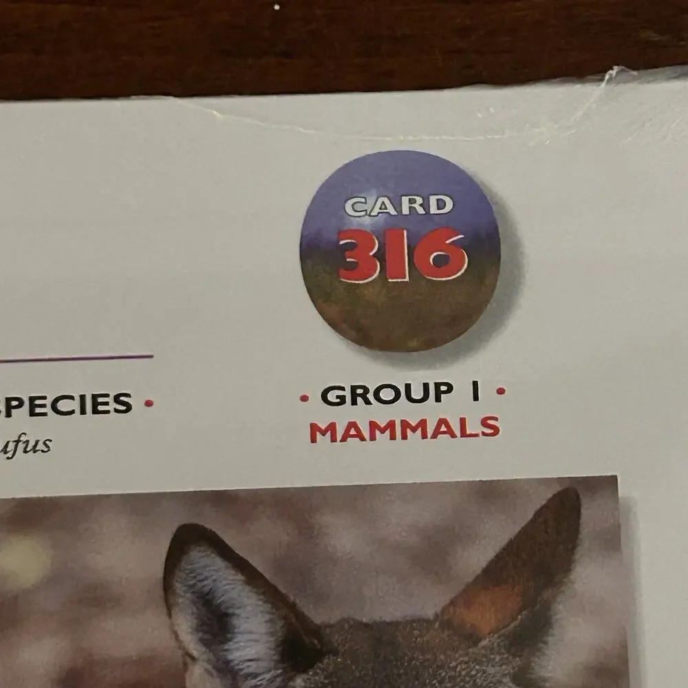 Vintage 1999 NOS Wildlife Explorer Pack 89 Mammals Red Wolf